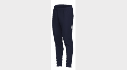 PANTALON POLYESTER D'ENTRAINEMENT LASCHIN